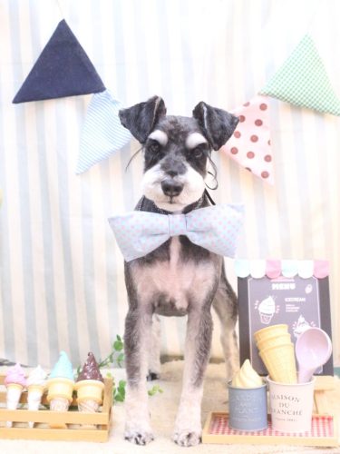 20250530ココくん